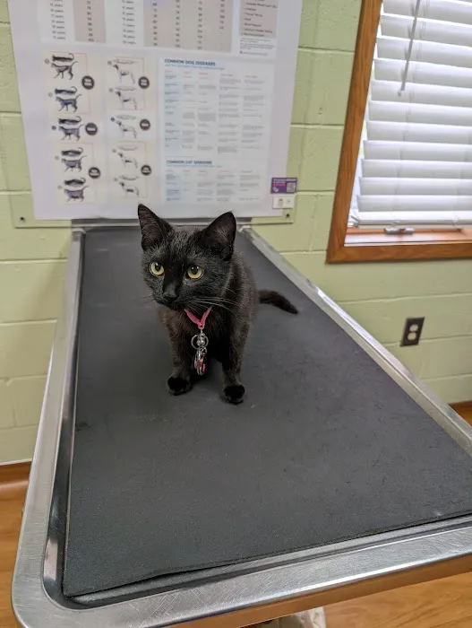 Hicks Animal Clinic 12