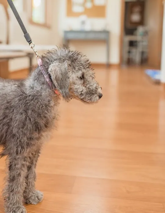 Hicks Animal Clinic 12