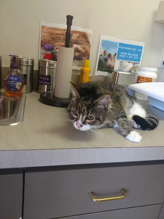 Coats Veterinary Hospital 12