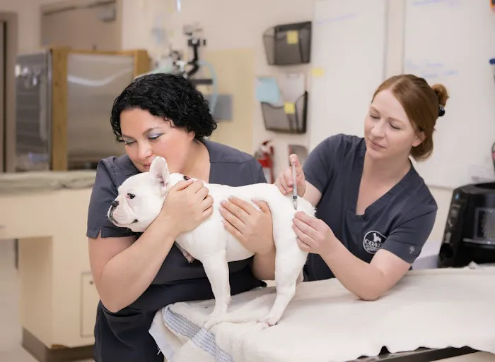 Coats Veterinary Hospital 12