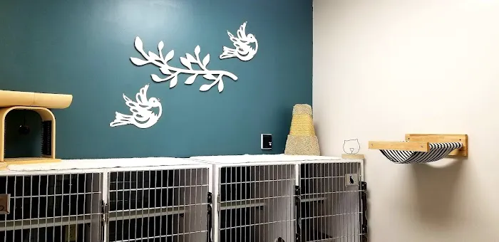 Coats Veterinary Hospital 12