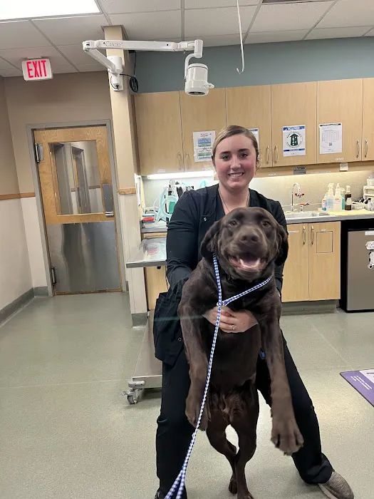 Riverside Veterinary Hospital: Bob Cameron DVM 1