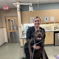 Riverside Veterinary Hospital: Bob Cameron DVM ico