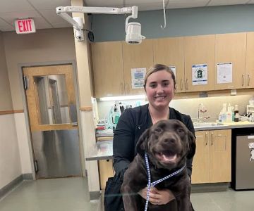 Riverside Veterinary Hospital: Bob Cameron DVM