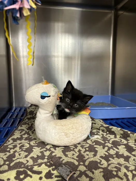 Riverside Veterinary Hospital: Bob Cameron DVM 5