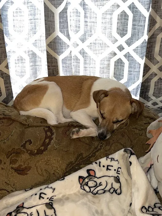 Bell County Animal Clinic 12
