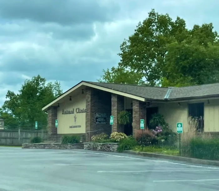 Bell County Animal Clinic 12