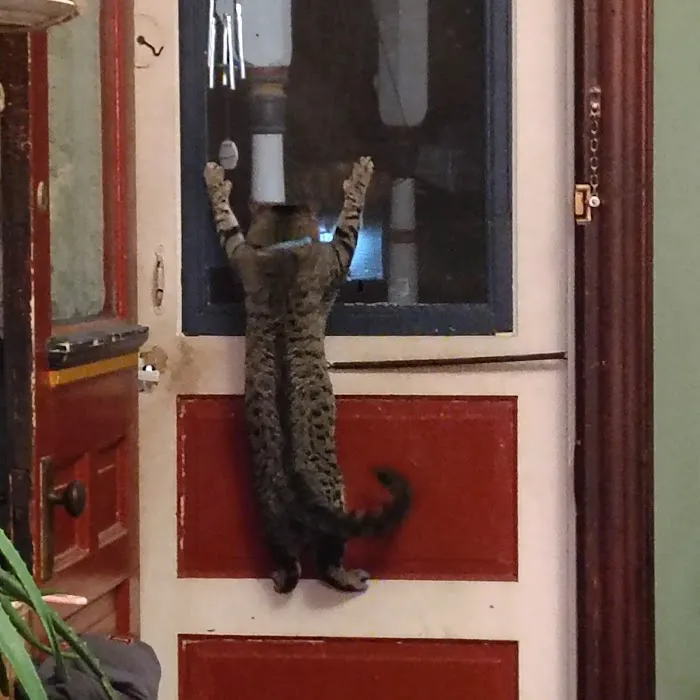 Parkersburg Veterinary Services 2