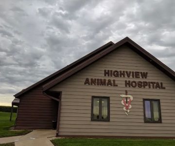 Highview Animal Hospital