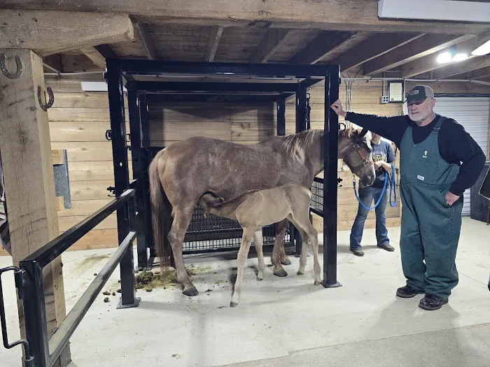 Highview Animal Hospital 3