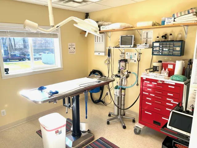 New Martinsville Animal Hospital 2