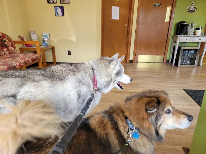 Gold Ribbon Veterinary Clinic LLC 12