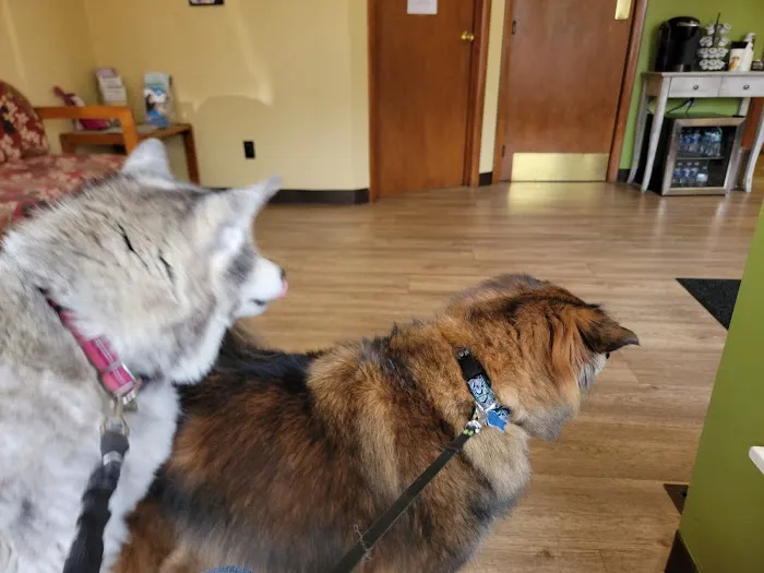 Gold Ribbon Veterinary Clinic LLC 12
