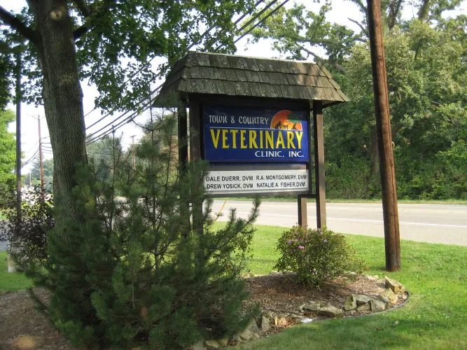 Town & Country Veterinary Clinic: Yosick Drew DVM 5