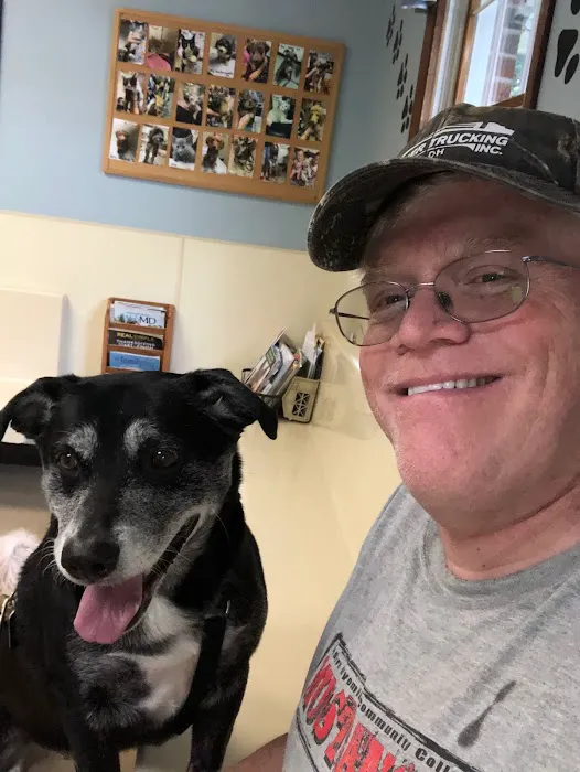 Town & Country Veterinary Clinic: Yosick Drew DVM 2