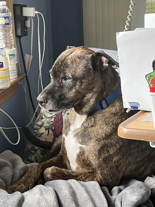 Turkeyfoot Family Pet Center 10
