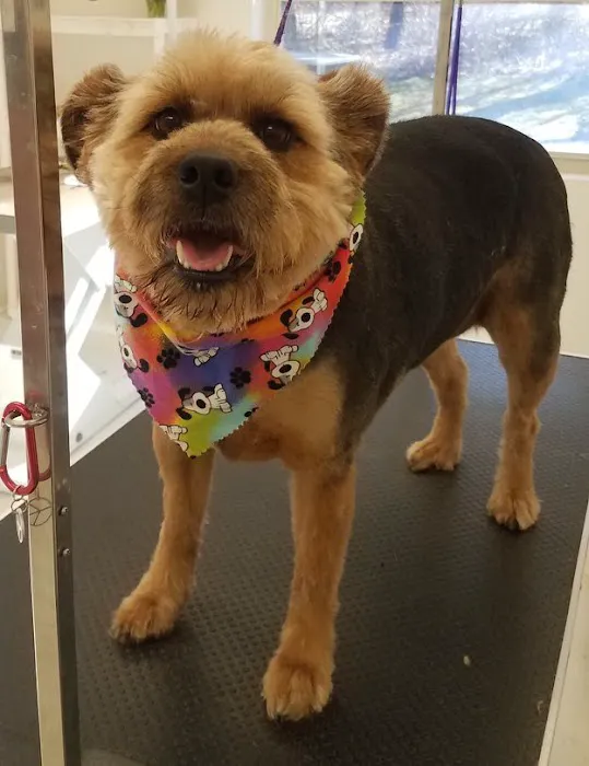 Turkeyfoot Family Pet Center 3