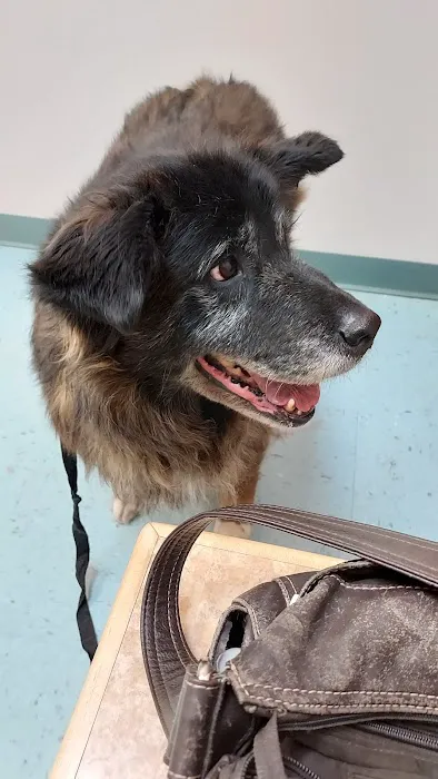 Turkeyfoot Family Pet Center 5