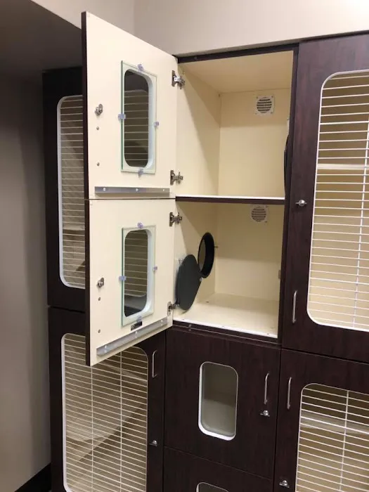 Veterinary Wellness Center of Green and The Cat Clinic 8