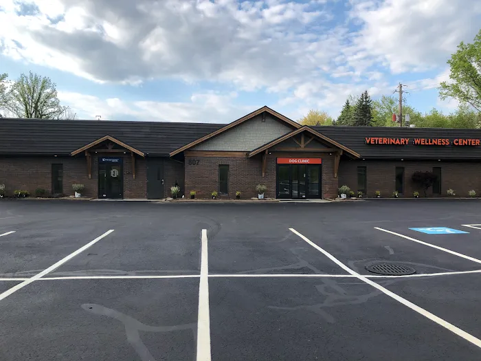 Veterinary Wellness Center of Green and The Cat Clinic 10