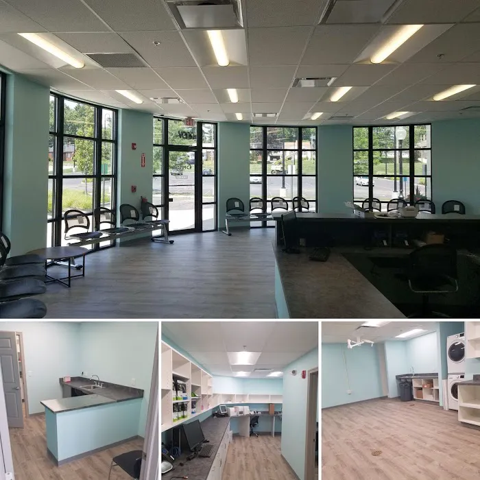 APC Veterinary Clinic 1