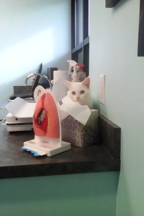 APC Veterinary Clinic 7