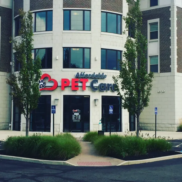 APC Veterinary Clinic 10