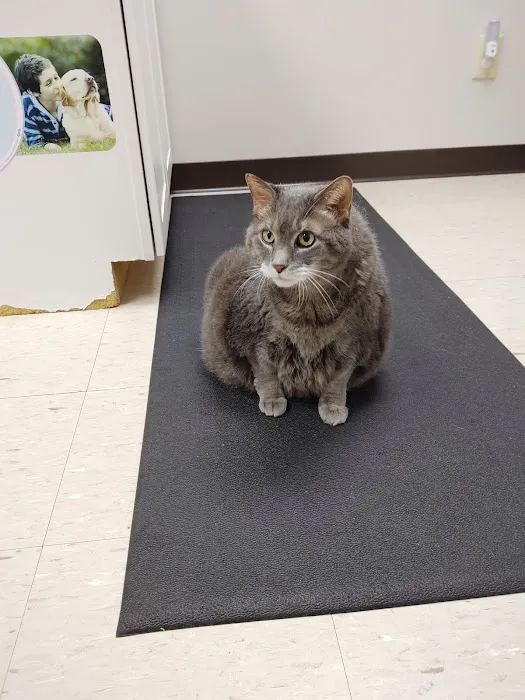 Buckeye Veterinary Clinic 4