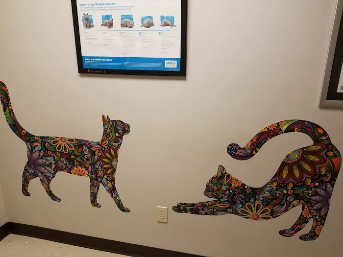 Buckeye Veterinary Clinic 5