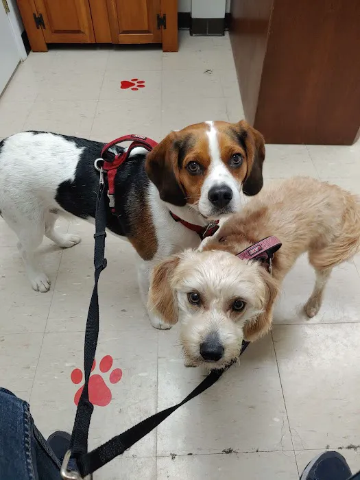 Buckeye Veterinary Clinic 8