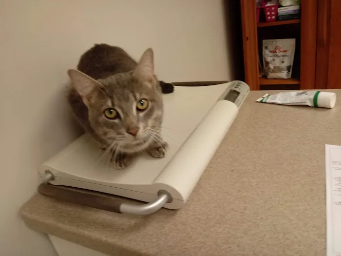 Buckeye Veterinary Clinic 7