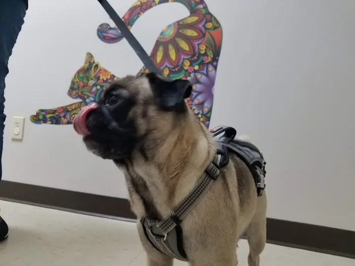 Buckeye Veterinary Clinic 1