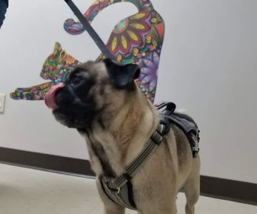Buckeye Veterinary Clinic