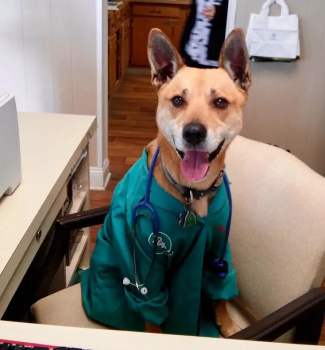 Lake Cable Animal Hospital 12