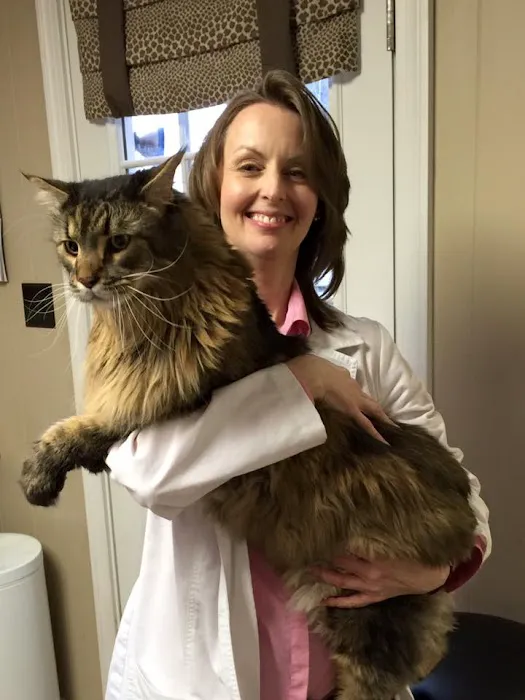 Lake Cable Animal Hospital 12