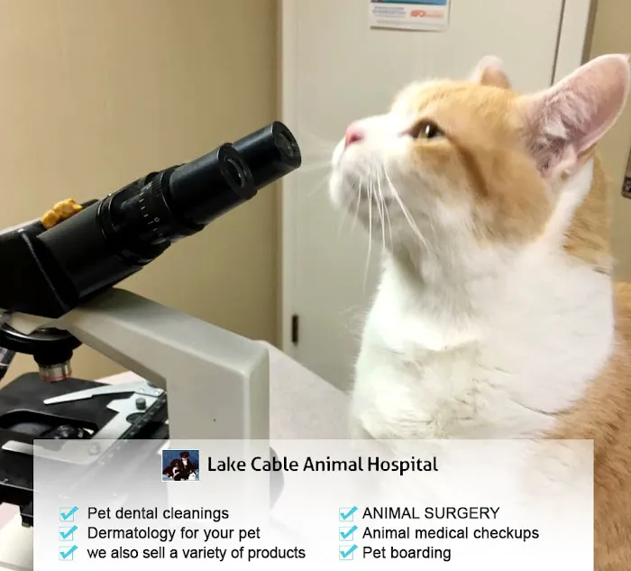 Lake Cable Animal Hospital 12