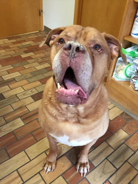 Belpar Pet Care Centre 12