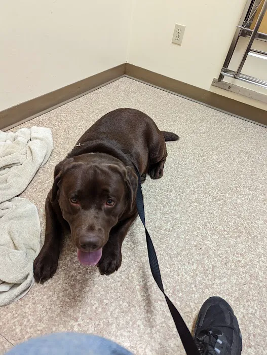 Belpar Pet Care Centre 12