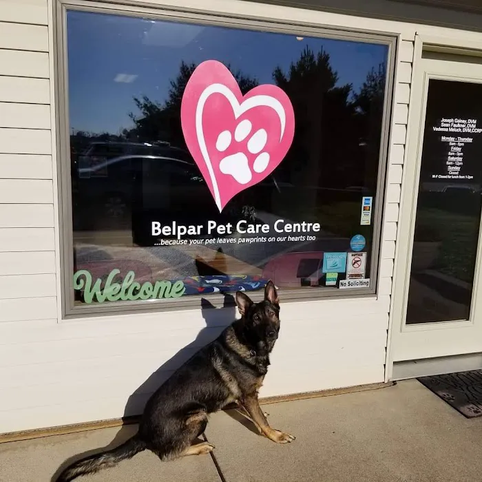 Belpar Pet Care Centre 12