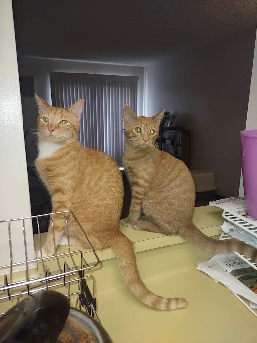 Mellett Animal Hospital 12