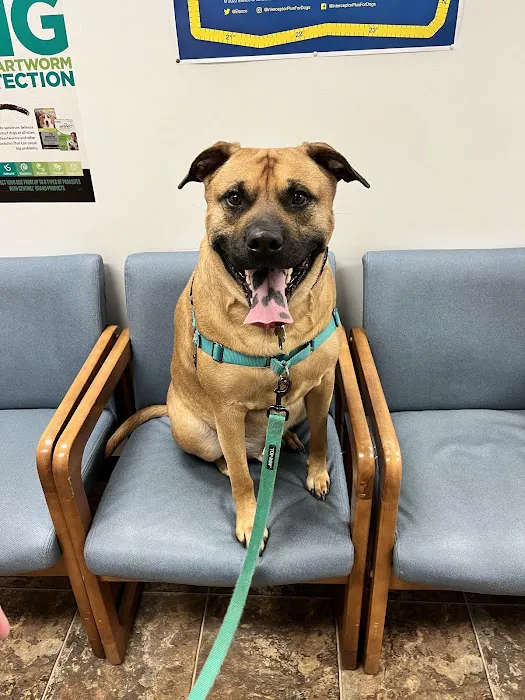 CoTwins Veterinary Care 12