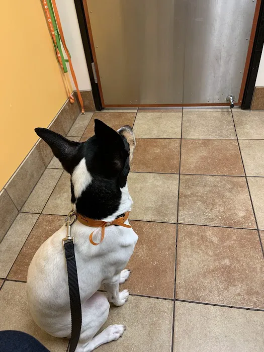 Banfield Pet Hospital 12