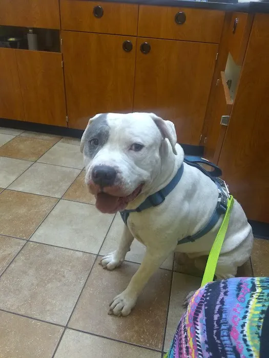 Banfield Pet Hospital 12