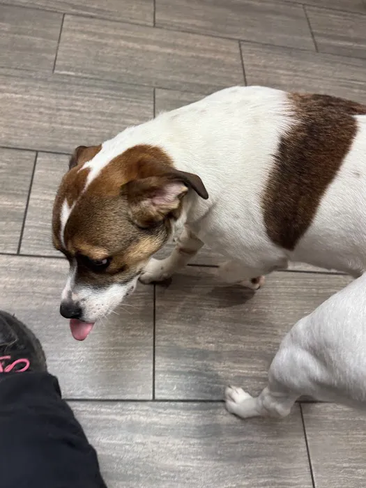 Stark County Veterinary Emergency Clinic 12