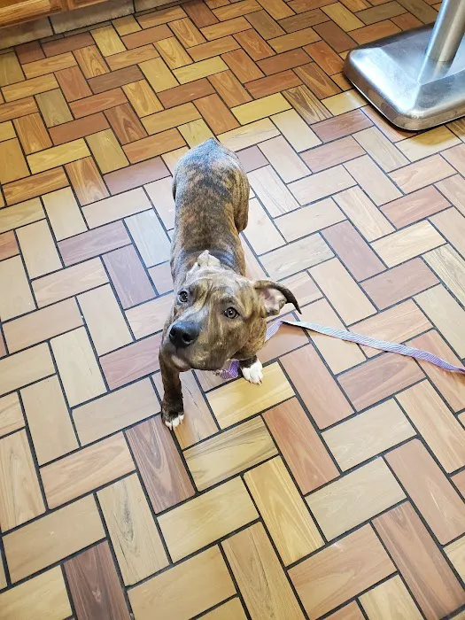 Thompson Animal Hospital 8