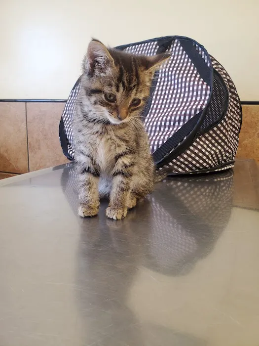 Thompson Animal Hospital 2