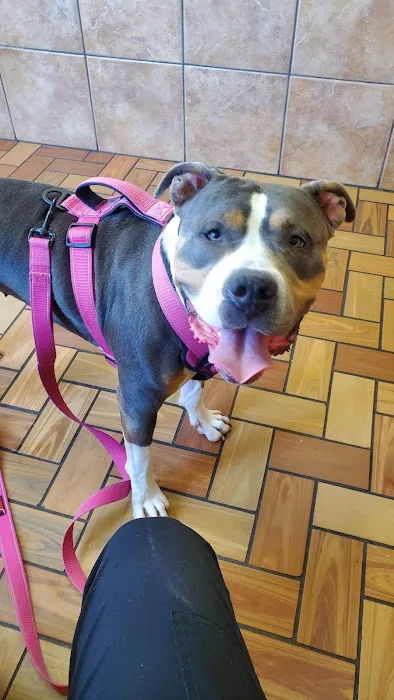 Thompson Animal Hospital 1