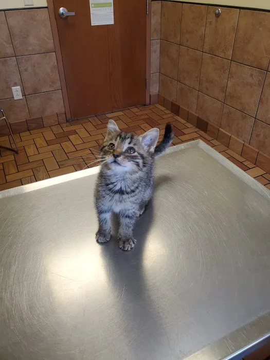 Thompson Animal Hospital 7