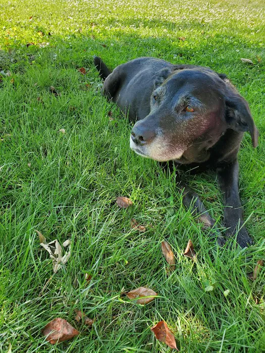 Thompson Animal Hospital 6