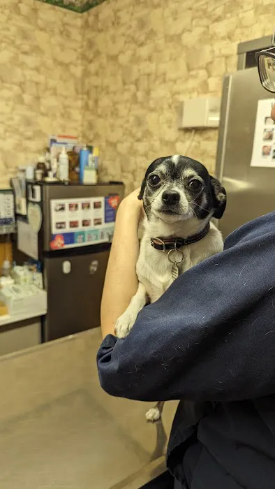 Camden Animal Clinic 7